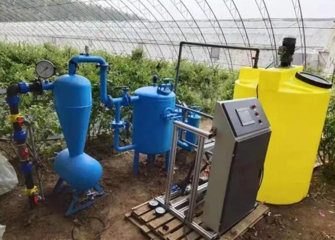 Juxiang′s Commercial Sunlight Greenhouse for Strawberry Farming