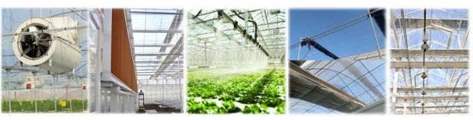 Juxiang′s Commercial Sunlight Greenhouse for Vegetable Farming