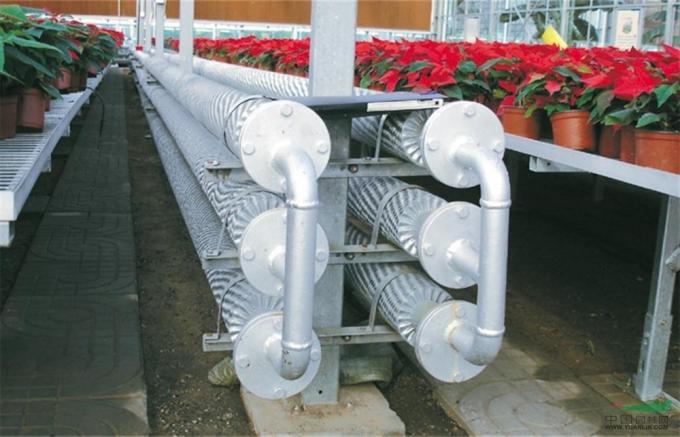 Juxiang′s Commercial Sunlight Greenhouse for Vegetable Farming