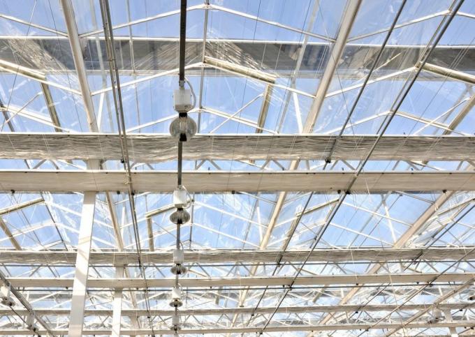 Juxiang′s Commercial Sunlight Greenhouse for Vegetable Farming