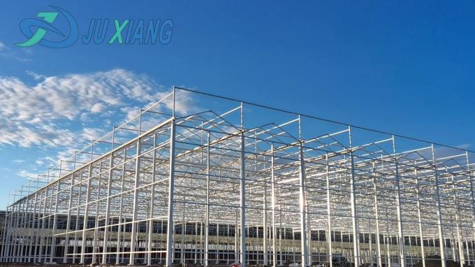 Juxiang′s Commercial Sunlight Greenhouse for Vegetable Farming