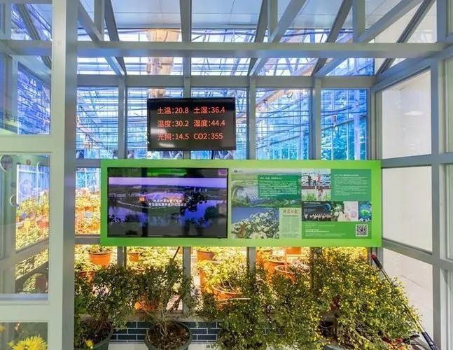 Juxiang′s Anti-Drip Fogging Structure for Seedlings