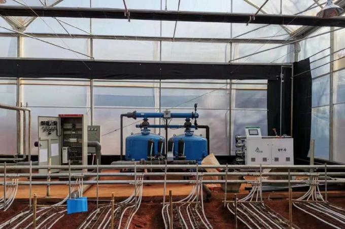 Juxiang′s Anti-Drip Fogging Structure for Seedlings