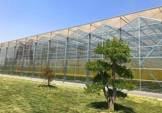 Juxiang′s Controlled Environment Greenhouse System