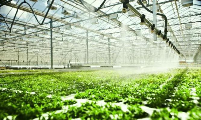 Juxiang′s Controlled Environment Greenhouse System