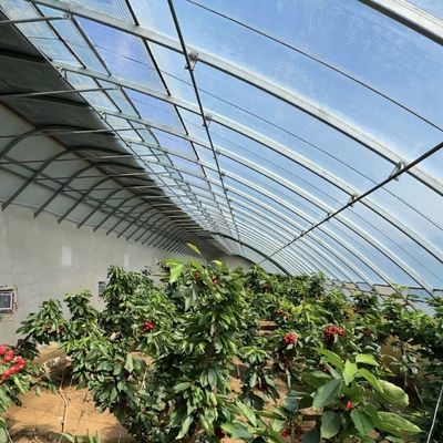 100.000kg Προσαρμογή Φυτεύσεις λουλουδιών Ρίξεις σταγόνες Φυτικά Ηλιακό θερμοκήπιο
