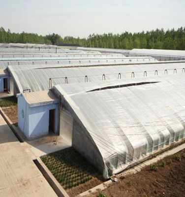 1209.00cm * 235.00cm * 239.00cm Τομάτα και Αγγούρι Φύτευση ηλιακό θερμοκήπιο για σας