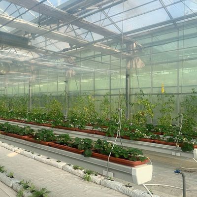 Εγκατάσταση θερμοκηπίου υδροπονικών μεμβράνων τετραγωνικού μέτρου για τη διαχρονική καλλιέργεια καλλιεργειών