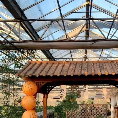 Προηγμένη υδροπονική καλλιέργεια λαχανικών σε μεγάλα γυάλινα θερμοκήπια