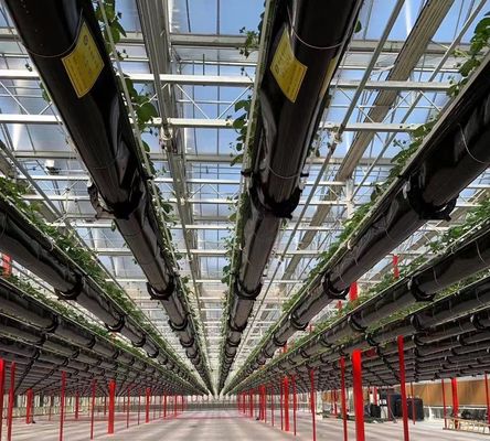 Αντί σταγόνα ομίχλης Υδροπονική δομή σποράς τέλεια για τις απαιτήσεις των πελατών