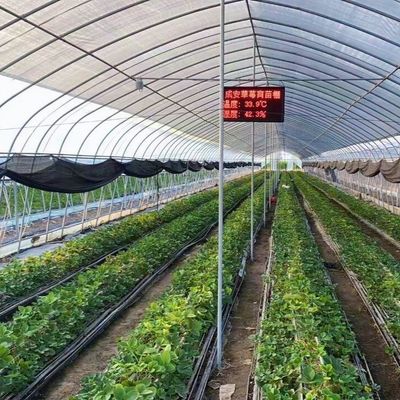 Υδροπονικό σύστημα καλλιέργειας για τη μεγάλη γεωργία σε μεγάλα θερμοκήπια JX-A004