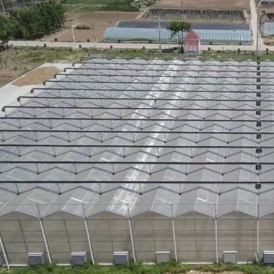 JX-A006 Μεγάλο μέγεθος θερμοκήπιο από πολυανθρακικό πολυανθρακικό για εμπορικές και γεωργικές χρήσεις