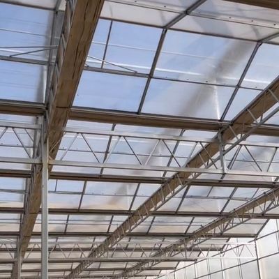 JX-A006 Μεγάλο μέγεθος θερμοκήπιο από πολυανθρακικό πολυανθρακικό για εμπορικές και γεωργικές χρήσεις