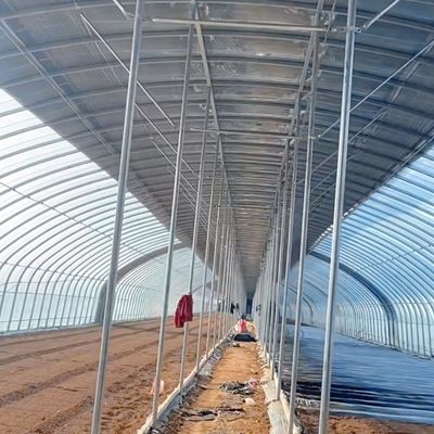Εμπορικό θερμοκηπίο με μονό μήκος, θερμοκηπίο με σήραγγα, με εγγύηση επιστροφής 30 ημερών