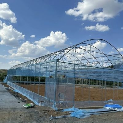 Φυτώριο γεωργίας τύπου αψίδας από πλαστικό για ντομάτες και φράουλες με υδροπονικό σύστημα καλλιέργειας