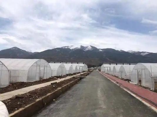 20.000kg Συσκευή Ακαθάριστο βάρος Φόρμα κάλυψη Σωλήνα νερού Υδροπονική Λύση θερμοκηπίου