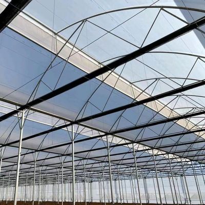 Προέλευση Οικολογικό σύστημα θερμοκηπίου με υλικό κάλυψης με φιλμ 20.000kg