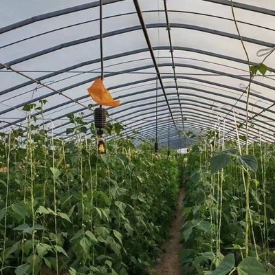 Πολυτεχνείο πλαστικό σήραγγα μονόχρονο γεωργικό θερμοκήπιο για εξατομικευμένο αίτημα