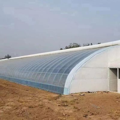 Πολυδιάστατο σωλήνα PVC Eco θερμοκήπιο σε προσιτό πακέτο Μέγεθος 50,00cm * 60,00cm * 50,00cm