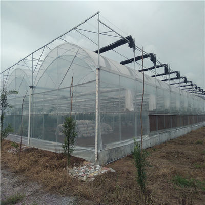 Πολυδιάστατο σωλήνα PVC Eco θερμοκήπιο σε προσιτό πακέτο Μέγεθος 50,00cm * 60,00cm * 50,00cm