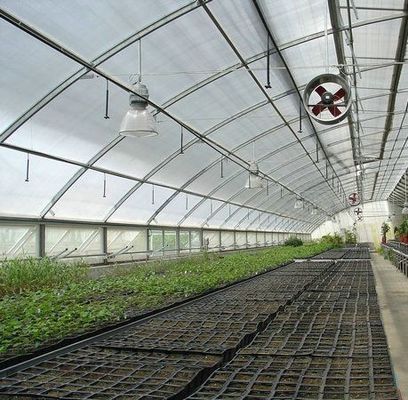 Πολυδιάστατο σωλήνα PVC Eco θερμοκήπιο σε προσιτό πακέτο Μέγεθος 50,00cm * 60,00cm * 50,00cm