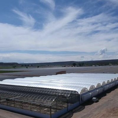 20.000kg Συσκευή Ακαθάριστο βάρος Πολλαπλές διαστάσεις Τομάτα Αγγούρι Φράουλες Φυτώριο θερμοκήπιο