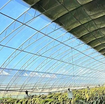 Φυτώριο για την καλλιέργεια σπόρων και ιατρικών φυτών/μανιτάρια