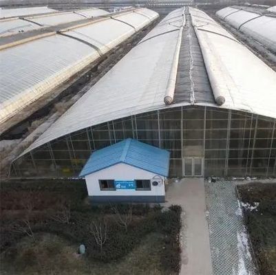 Φυτώριο για την καλλιέργεια σπόρων και ιατρικών φυτών/μανιτάρια