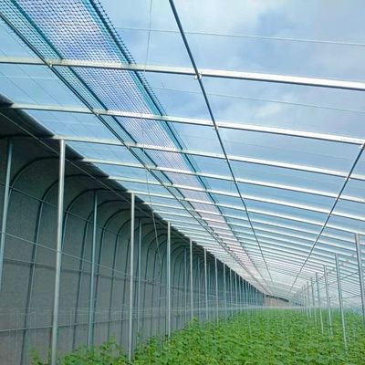 ΗΠΑ Γεωργικές θερμοκήπια πλαστικής ταινίας με υδροπονικό σύστημα