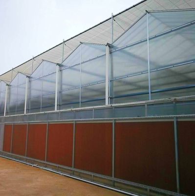 ΗΠΑ Γεωργικές θερμοκήπια πλαστικής ταινίας με υδροπονικό σύστημα