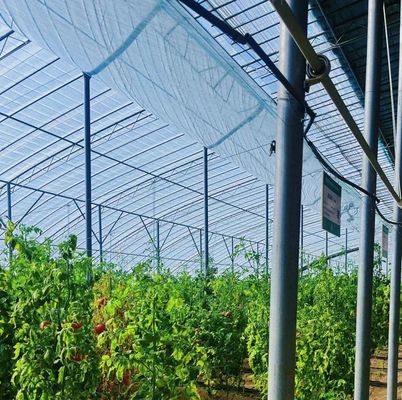 Μέθοδος υδροπονικής καλλιέργειας Μονόστρωμα θερμοκηπίου με φιλμ για μαρούλι/σπανάκι/κέρλι