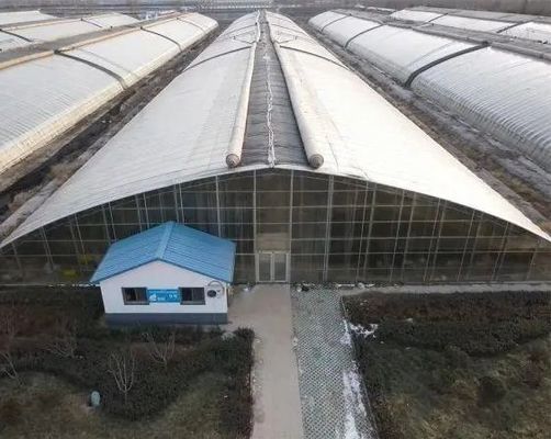 Μεταμορφώστε την Γεωργική Εμπειρία σας με το Συστήμα Υδροπονίας Τομάτας Αγγουράς Φράουλας