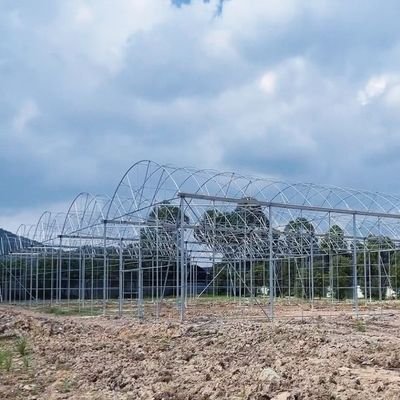 Πολυδιάστατο υδροπονικό σύστημα καλλιέργειας υδραυλικών σωλήνων για την αποδοτικότητα της υδατοκαλλιέργειας σε θερμοκήπια