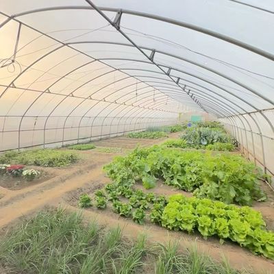 Επιστροφή 30 ημερών Επιστροφή για το εργαλείο θερμοκηπίου γεωργικής σήραγγας