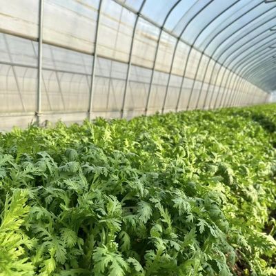 Επιστροφή 30 ημερών Επιστροφή για το εργαλείο θερμοκηπίου γεωργικής σήραγγας