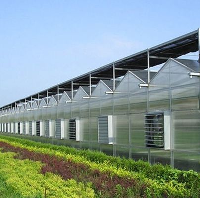 Μεγάλη υδατοκαλλιέργεια Τομάτα Αγγούρι φράουλα Υδροπονική θερμοκήπιο με υψηλή απόδοση
