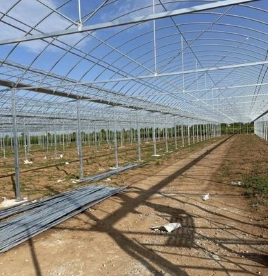 Μεγάλη υδατοκαλλιέργεια Τομάτα Αγγούρι φράουλα Υδροπονική θερμοκήπιο με υψηλή απόδοση