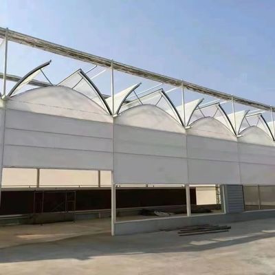 Εμπορικό θερμοκήπιο με πλαστική επικάλυψη με ντομάτες/αχυρώδες/καρύδια