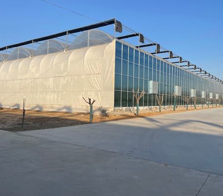 Εμπορικό θερμοκήπιο με πλαστική επικάλυψη με ντομάτες/αχυρώδες/καρύδια