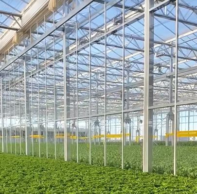 Εμπορικά θερμοκήπια με διπλό τόξο θερμοκήπια με δονητή χιονιού σε νόμισμα ΗΠΑ