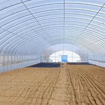 Μέγεθος πακέτου 50,00cm * 60,00cm * 50,00cm Σήραγγας θερμοκηπίου για τη γεωργία και τα λαχανικά
