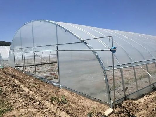 Χ τμήμα Προσαρμοσμένη χάλυβα δομή θερμοκήπιο σχεδιασμός για τις ανάγκες της αγοράς των ΗΠΑ Multi Span