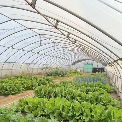 Εύκολες επιστροφές χρημάτων για το καινοτόμο εργαλείο θερμοκηπίου σήραγγας σταγοντοκηπίου