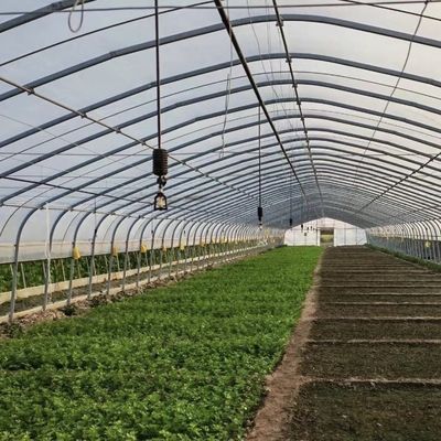 Μεγάλη καινοτόμος γεωργία Αψίδες τούνελ θερμοκήπια Ιδανικό για όλο το χρόνο καλλιέργεια