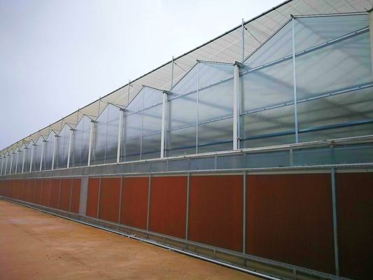 Εμπορικό θερμοκήπιο PE ταινία πλαστικής Γεωργικό θερμοκήπιο για τις ΗΠΑ/Καναδά/Αυστραλία