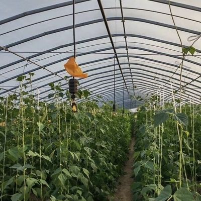 Η αγροτική δραστηριότητα καθίσταται ευκολότερη σε όλες τις εποχές με τη συσκευή θερμοκηπίου μεγάλης σήραγγας και την κάλυψη με ταινία