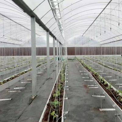 Πολυδιάστατο θερμοκήπιο με υδροπονική και δείγματα πλαστικής ταινίας US 20/τ.μ.