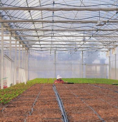Χρηματοδότηση των ΗΠΑ JX-A0023 Χειροκηπίο με πολυεπίπεδο ταινία για φύτευση μαρούλι αγγούρου