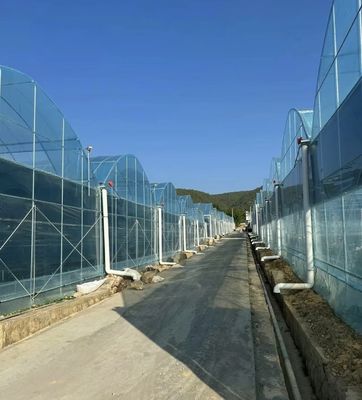 Πολυδιάστατο θερμοκήπιο με ταινία για κάθετη καλλιέργεια Πακέτο Μέγεθος 50,00cm * 60,00cm * 50,00cm