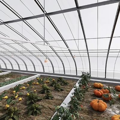 Υδροπονικό σύστημα καλλιέργειας θερμοκηπίου με σήραγγα πολλαπλών διαστάσεων